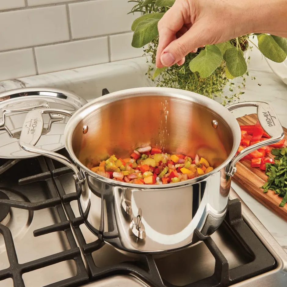 All-Clad D5 Stainless Polished 5-ply Stock Pot 4 Quart |