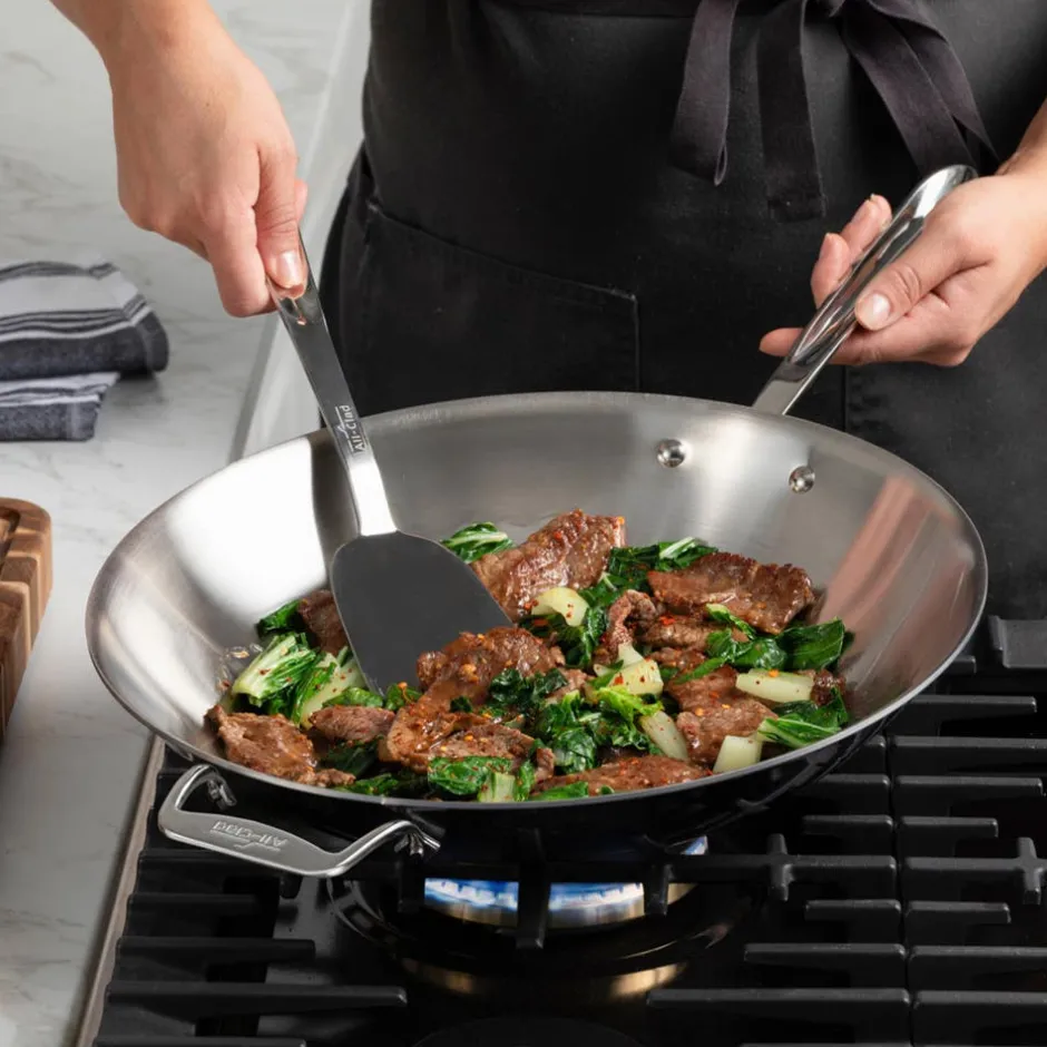 All-Clad D5 Stainless Polished 5-ply Bonded Cookware, Wok, 14 inch