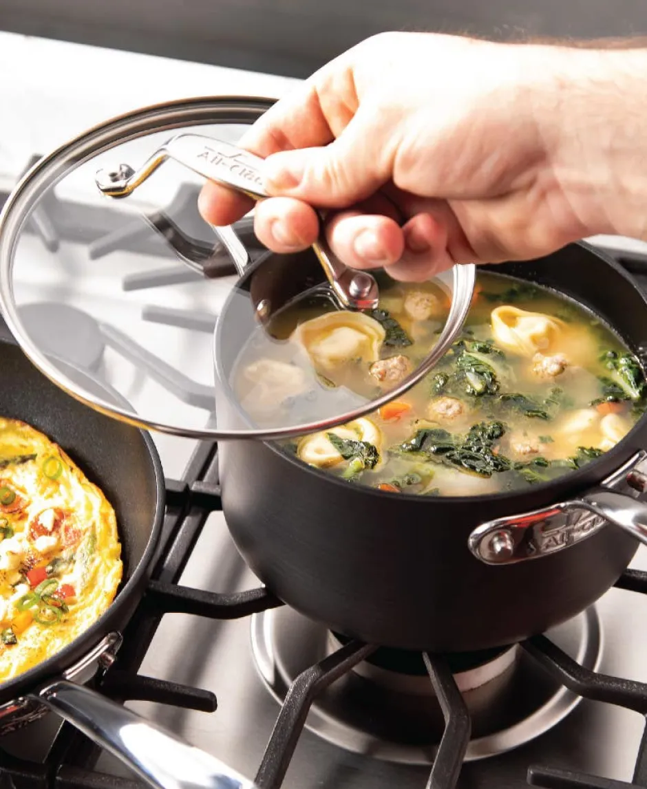 All-Clad Essentials Nonstick Fry Pan and Sauce Pan Set I