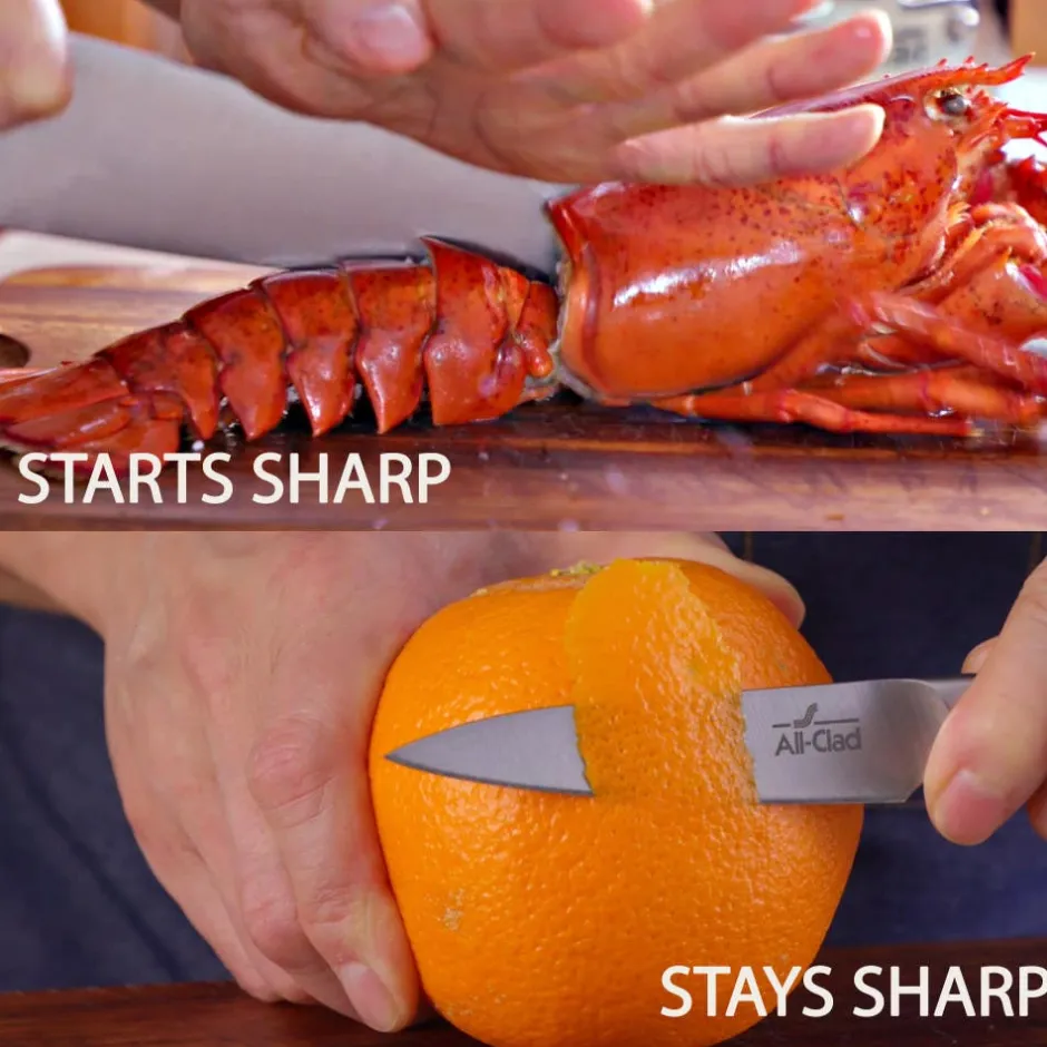 All-Clad 6-Inch Chef's Knife / Forged Perfection