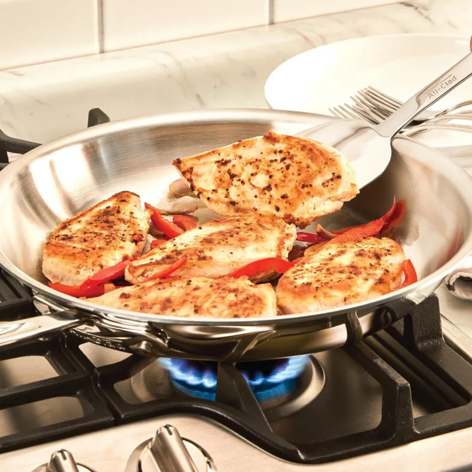 All-Clad 10-Inch Fry Pan / D5 Polished Stainless Steel Precision Cooking