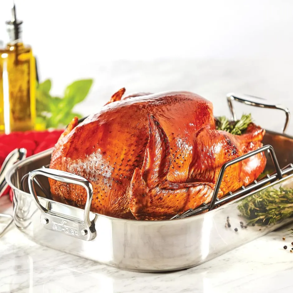 All-Clad Large Stainless Steel Roaster Pan with Rack |