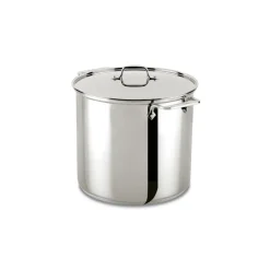 All-Clad 16 Quart | Large Stainless Steel Pot with Lid |