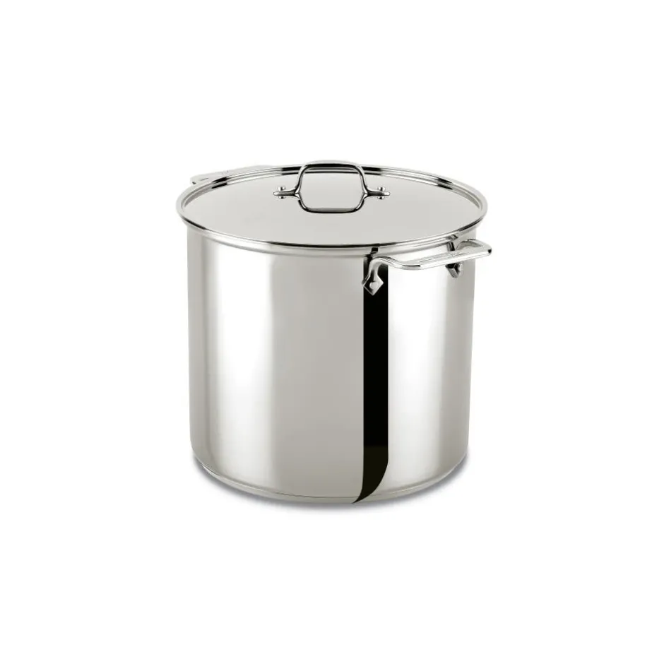 All-Clad 16 Quart | Large Stainless Steel Pot with Lid |