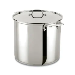 All-Clad 16 Quart | Large Stainless Steel Pot with Lid |