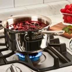 All-Clad 2-Quart Sauce Pan with Lid / D5 Polished Stainless Versatility