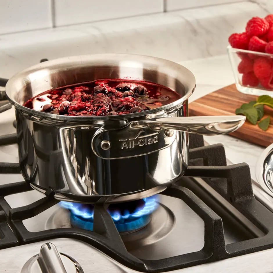 All-Clad 2-Quart Sauce Pan with Lid / D5 Polished Stainless Versatility