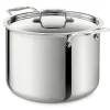 All-Clad 12-Quart Stockpot with Lid / D5 Polished Stainless Steel Perfection