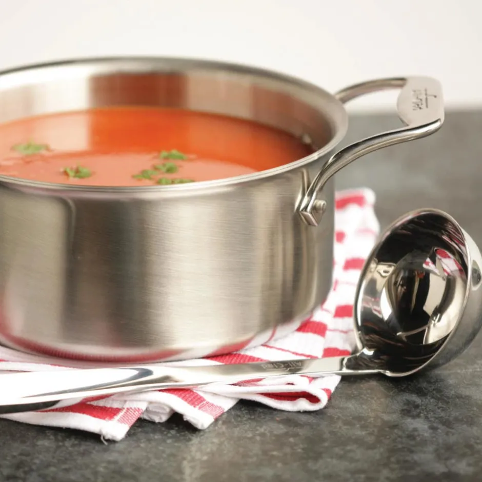 All-Clad Soup Pot and Ladle Set / 4-Quart Stainless Steel Cooking Essentials