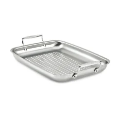 All-Clad Stainless Steel Roaster / Outdoor Grilling Made Easy