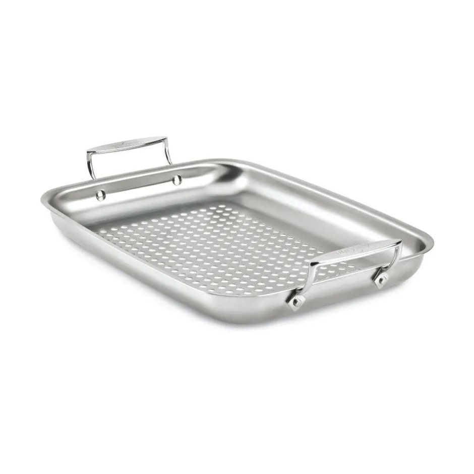 All-Clad Stainless Steel Roaster / Outdoor Grilling Made Easy