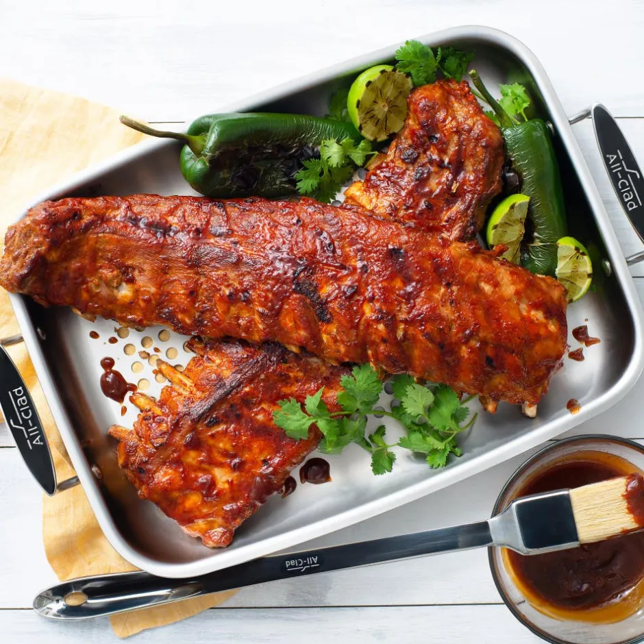 All-Clad Stainless Steel Roaster / Outdoor Grilling Made Easy