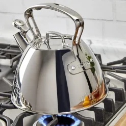 All-Clad Stovetop Tea Kettle, 2 Qt Stainless Steel Tea Kettle |
